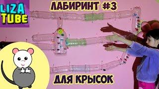 Лабиринт #3 для крысок  со СКАЛОДРОМОМ  Из бутылок СВОИМИ РУКАМИ ️ DIY for pets  LizaTube