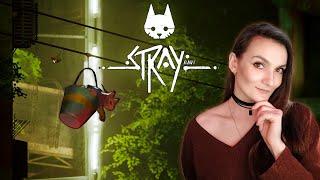 Stray  Котострим 3  Финал