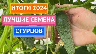 ЭТИ ОГУРЦЫ ТОЧНО НЕ ПОДВЕДУТ! Сажаем смело