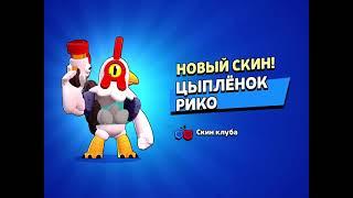 ЦЫПЛЁНОК РИКО Brawl Stars