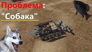 Проблема: "Собака" · Crossout/Кроссаут