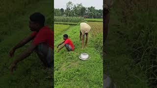 The old man is making noise inside the pot.