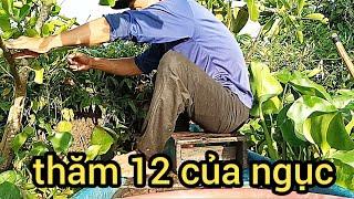 Thăm 12 cữa ngục mùa nước nổi.nhân vlog (p25)