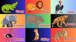 Safari Animal Sounds Song  | Fun Animal Sounds for Kids | Learn Safari Animal Noises | MeowMeow103