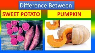 Differences Between Medical And Health Benefits Of Pumpkin  and  Sweet potato