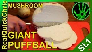 giant puffball mushroom to eat