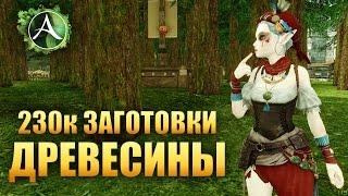 ArcheAge - 230к ЗАГОТОВКА ДРЕВЕСИНЫ (Профессия)