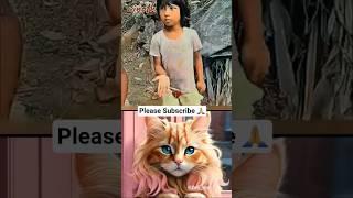 PLEASE DASH ME  #cat #funny #shorts