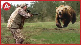 How Do American Farmers Battle Rebellious Creatures: Deal With 12 Million Of Bears And Wild Boars