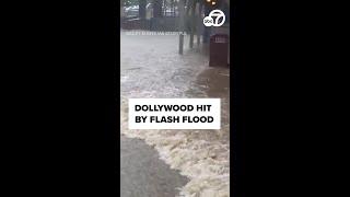 Dollywood hit with flash flood