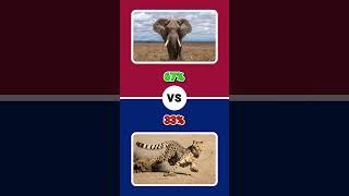 Extreme Animal Would You Rather Challenge!