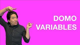 How to Use Domo Variables