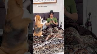 Irritating human habits