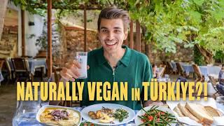 Istanbul is VEGAN-FRIENDLY?! Turkish Food Tour featuring Meze Feast + Ancient Millet Drinks