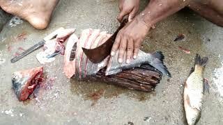 How to cut Vouva fish at home || Red pomfret fish cutting || Lish talks || Brammadesam