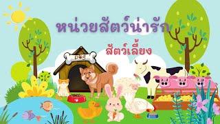 หน่วยสัตว์น่ารัก เรื่องอาหารและที่อยู่อาศัยของสัตว์เลี้ยง ชั้นอนุบาล 3 กับครูกระต่าย