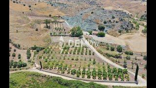 Country House in Paphos - Cyprus