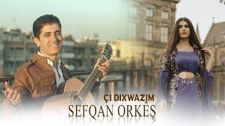 Sefqan Orkêş - (Official Clip) Çi dixwazim كليب صفقان اوركيش