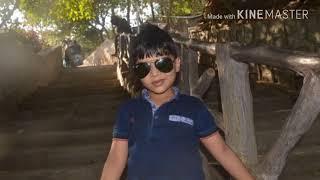 Photo video