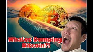 Are Whales dumping BTC?! I show you what whales are doing on-Chain! #Bitcoin #crypto #trading #ETH