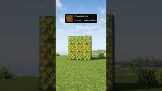 Minecraft Best Texture Packs Part 13. #minecraft #texturepacks #shorts