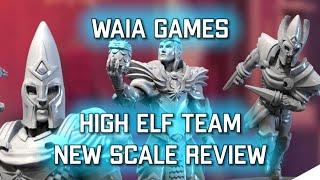 High Elf Team (New Scale) Unbox & Review  | Waia Games (Bonehead Podcast)