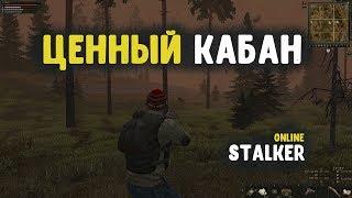 STALKER ОНЛАЙН / Ценный кабан / Заработок денег