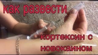 Как развести кортексин с новокаином/кортексин/укол кортексина/как поставить кортексин