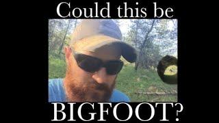 North Country Bigfoot????