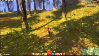 GW2 Ranger Pet Locations - Alpine Wolf