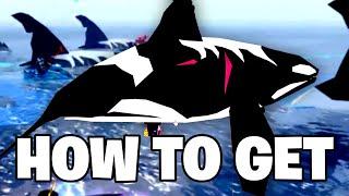 Roblox Fisch - HOW TO GET & CATCH ORCA WHALES (Full Guide - Location)