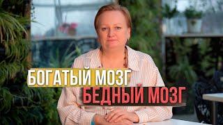 Богатый мозг, бедный мозг (Алла Давыдова)