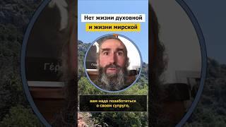 Монах Андроник | Нет жизни духовной и жизни мирской | Афон