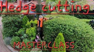 LHL hedge cutting masterclass