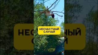 Прикольчики  #юмор #приколы #идиоты #смешно #неудачи #девушки #падения #чудаки #конфуз #спорт