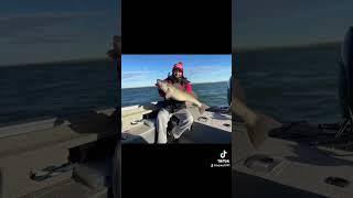 Great couple of days on Lake Oahe in Mobridge, South Dakota this last fall. Giant Walleye!