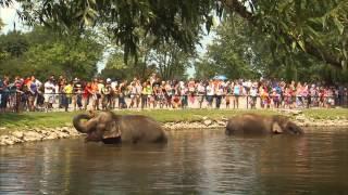 "GO WILD!!" at African Lion Safari!