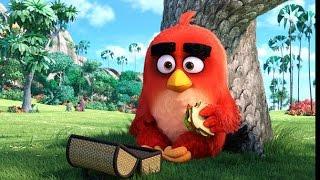 Mr. Coat's Movie Reviews: "The Angry Birds Movie" and "Neighbors 2: Sorority Rising"