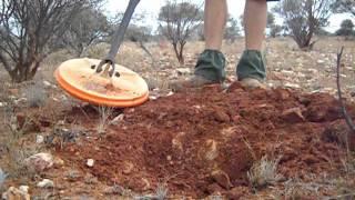 Détection de pépites d'or en Australie (WA) avec le GPZ 7000