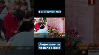 ️Акция "Бессмертный полк" прошла в центре Вены. #австрия #деньпобеды #9 мая #бессмертныйполк