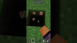 New Minecraft hake  challenge in the Minecraft  #minecraft #phonkagress #music #memes #gaming