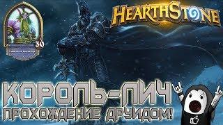 Hearthstone ГАЙД: ПРОХОЖДЕНИЕ КОРОЛЯ ЛИЧА | Прохождение Друидом Короля Лича бюджетной колодой!