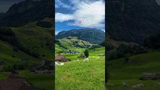 Beautiful Switzerland in Summer!  #switzerland #swiss #suisse #schweiz #exploreswitzerland