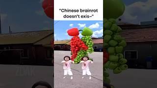 Chinese Brainrot