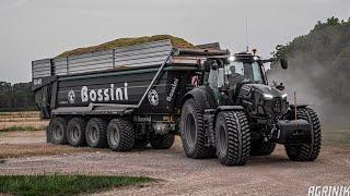 Wheat Silage XXL at Belluco Farm  | 2x Bossini 4 axis & New Holland FR 850