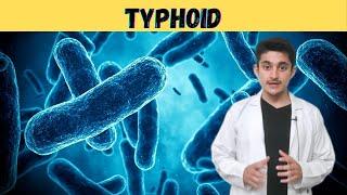 Typhoid fever 3d animation | causes symptoms transmission | typhoid Mary | salmonella bacteria hindi