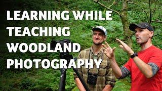 Teaching Woodland Photography & Learning about the Rainforest