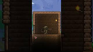 ПОЯСНЯЮ ЗА ГОРОДСКИХ ПИТОМЦЕВ ТЕРРАРИЯ! #terraria