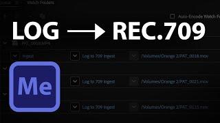 How to apply LUT to multiple clips in Media Encoder