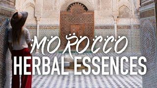 Discovering Morocco with Herbal Essences